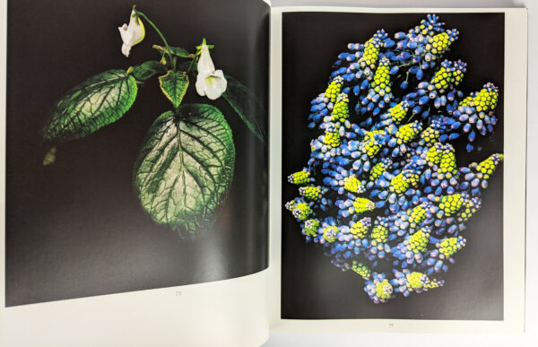 Botanica Magnifica: Portraits of the World's Most Extraordinary Flowers & Plants - Image 3