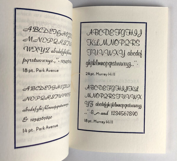 A Small Inventory of Zinc Type - Image 4