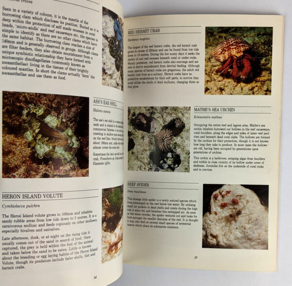 Discover Heron Island - Image 2