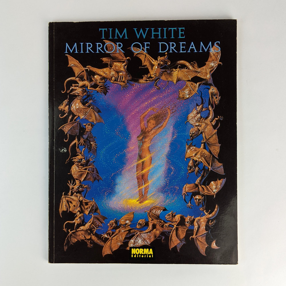 Mirror of Dreams The Book Merchant Jenkins