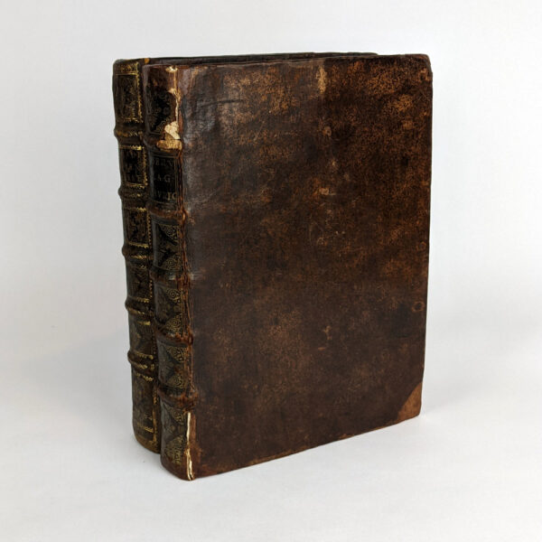 Traite des Maladies des Femmes Grosses, & Observations sur la Grossesse et L'Accouchement des Femmes et sur Leurs Maladies, (2 Volumes) - Image 2