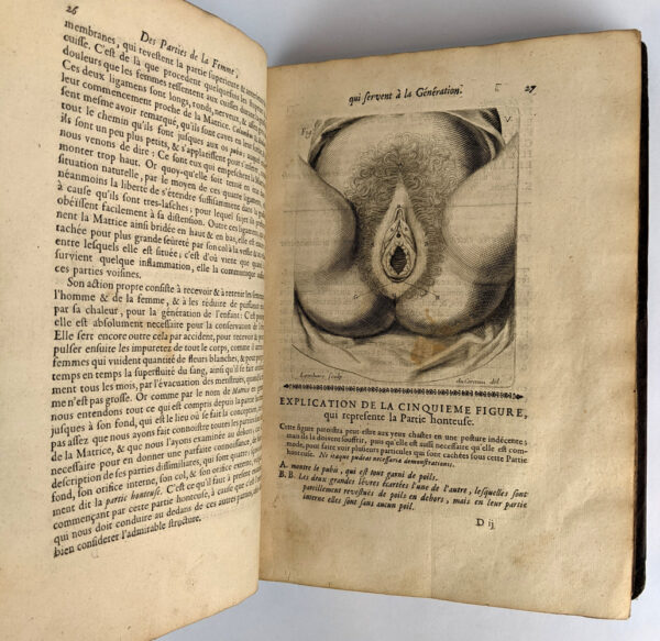 Traite des Maladies des Femmes Grosses, & Observations sur la Grossesse et L'Accouchement des Femmes et sur Leurs Maladies, (2 Volumes) - Image 7