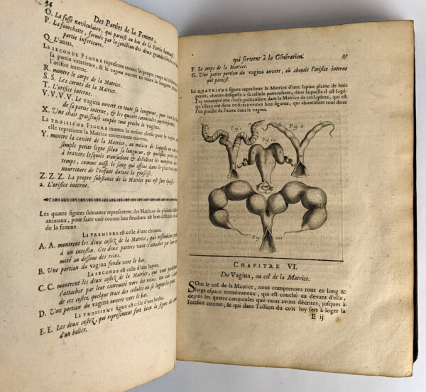 Traite des Maladies des Femmes Grosses, & Observations sur la Grossesse et L'Accouchement des Femmes et sur Leurs Maladies, (2 Volumes) - Image 8