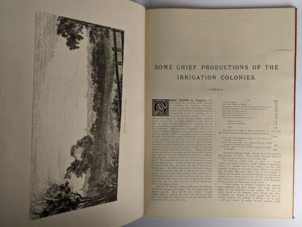 The Australian Irrigation Colonies on the River Murray, Victoria and South Australia - Image 4