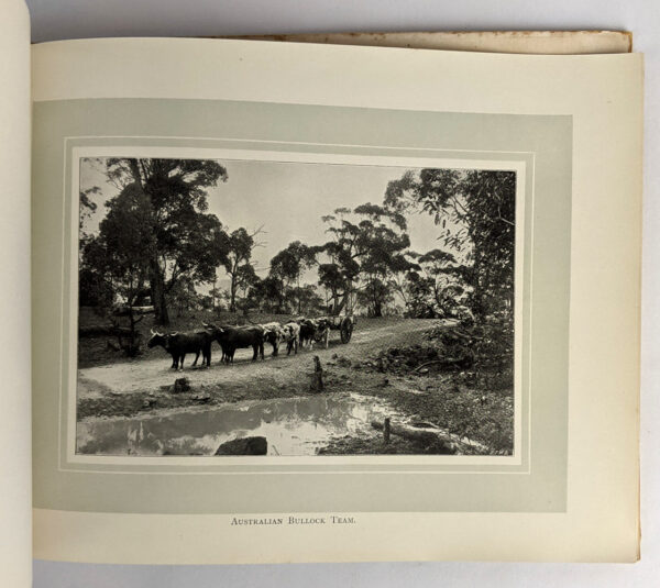 Photographic View Album of New South Wales - Image 3