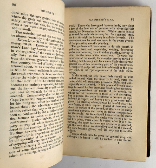 Nine Years in Van Diemen's Land - Image 4