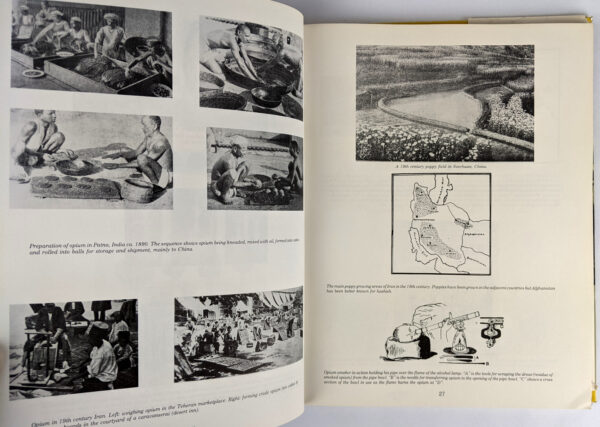 The Fabulous Illustrated History of Psychoactive Plants or Great Grandma's Pleasures - Image 2