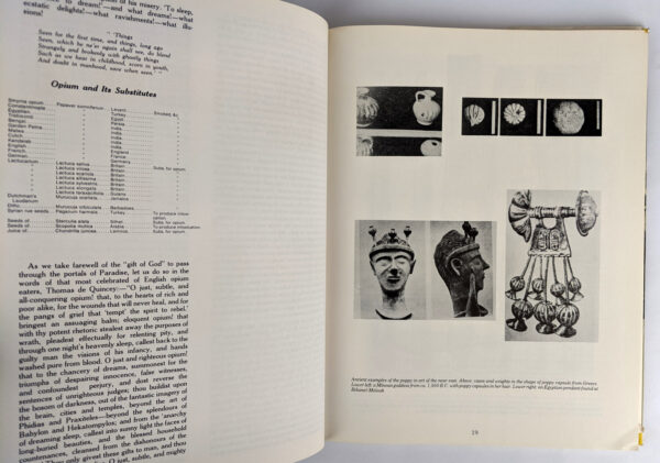 The Fabulous Illustrated History of Psychoactive Plants or Great Grandma's Pleasures - Image 3