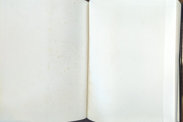 The Oxford English Dictionary Second Edition (20 Volumes) - Image 4