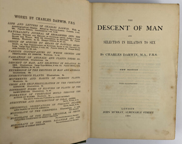 The Descent of Man and Selection in Relation to Sex - Image 2