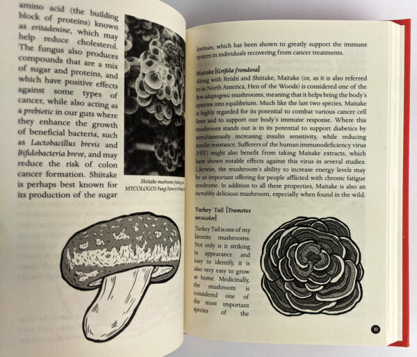 The Mycocultural Revolution: Transforming Our World with Mushrooms, Lichens, and Other Fungi - Image 4