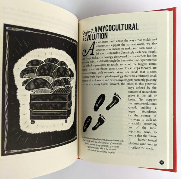 The Mycocultural Revolution: Transforming Our World with Mushrooms, Lichens, and Other Fungi - Image 5
