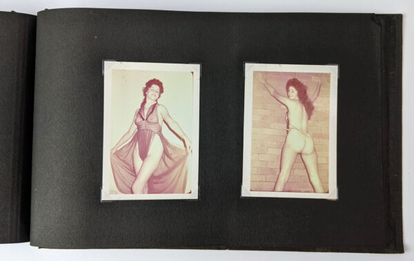 Amateur Pinup and Erotica Photo Album - Image 6