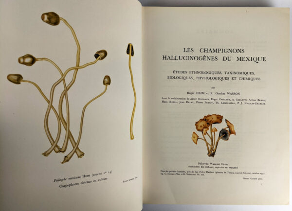 Les Champignons Hallucinogenes du Mexique AND Nouvelles investigations sur les Champignons hallucinogenes - Image 2
