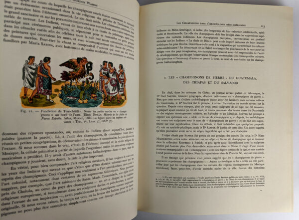 Les Champignons Hallucinogenes du Mexique AND Nouvelles investigations sur les Champignons hallucinogenes - Image 3