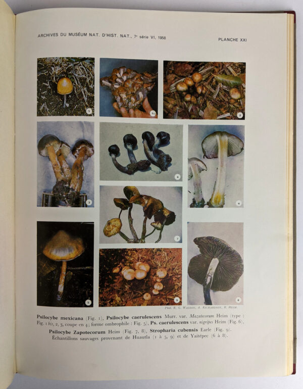 Les Champignons Hallucinogenes du Mexique AND Nouvelles investigations sur les Champignons hallucinogenes - Image 4