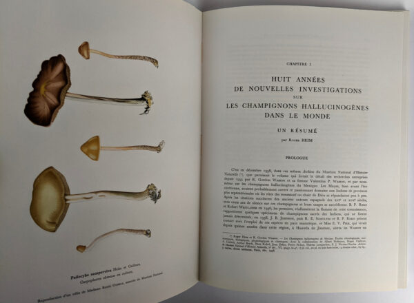 Les Champignons Hallucinogenes du Mexique AND Nouvelles investigations sur les Champignons hallucinogenes - Image 6