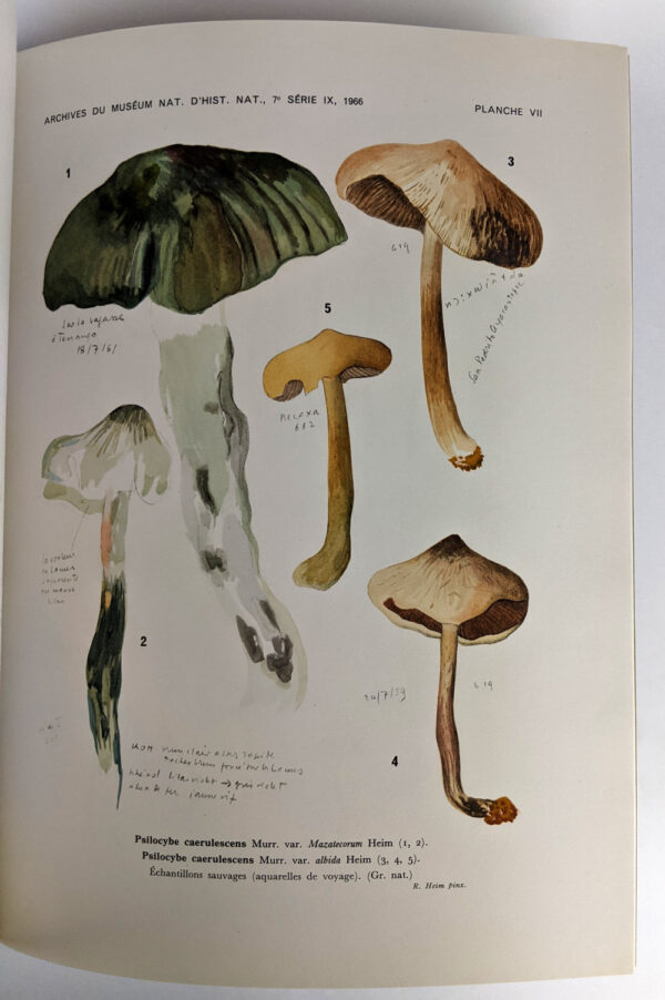 Les Champignons Hallucinogenes du Mexique AND Nouvelles investigations sur les Champignons hallucinogenes - Image 7