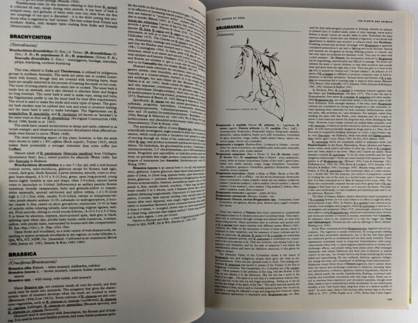 Garden of Eden: The Shamanic Use of Psychoactive Flora and Fauna, and the Study of Consciousness - Image 5