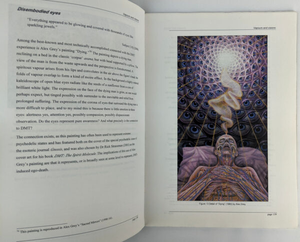 Vapours and Visions: Religious Dimensions of DMT Use - Image 2