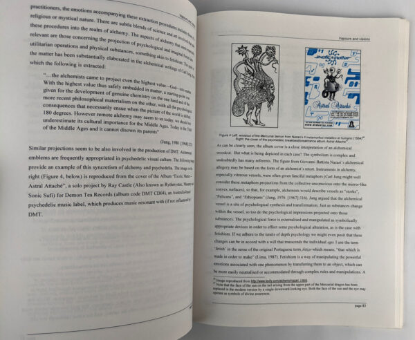 Vapours and Visions: Religious Dimensions of DMT Use - Image 3