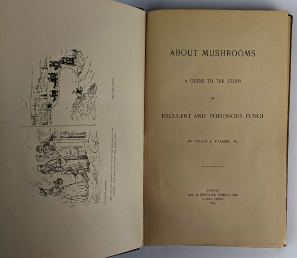 About Mushrooms: A Guide to the Study of Esculent and Poisonous Fungi - Image 2