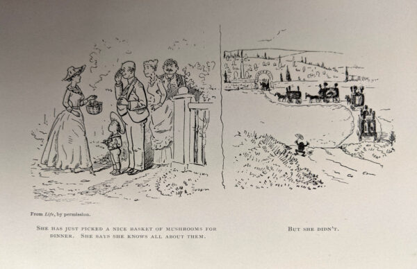 About Mushrooms: A Guide to the Study of Esculent and Poisonous Fungi - Image 3