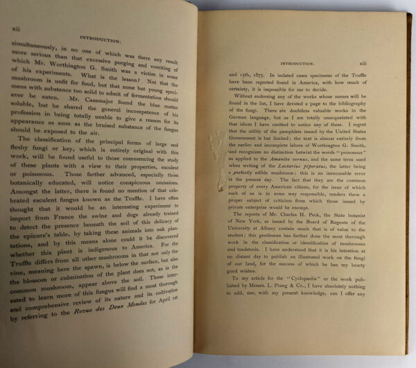 About Mushrooms: A Guide to the Study of Esculent and Poisonous Fungi - Image 4