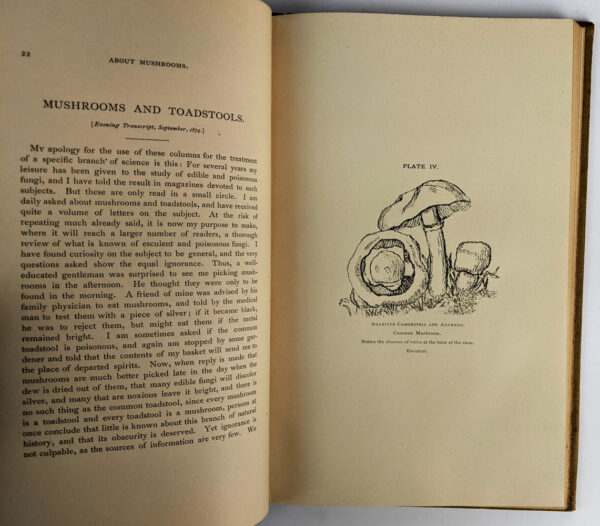 About Mushrooms: A Guide to the Study of Esculent and Poisonous Fungi - Image 5