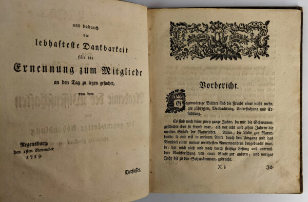 Vorlaufige Beobachtungen der Schwamme um Regensburg: angestellet und mit vier Kupfertafeln ausgemahlter Abbildungen erlautert - Image 3