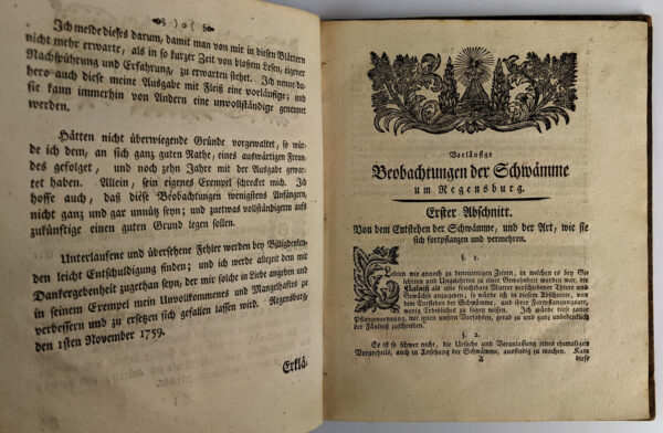 Vorlaufige Beobachtungen der Schwamme um Regensburg: angestellet und mit vier Kupfertafeln ausgemahlter Abbildungen erlautert - Image 4