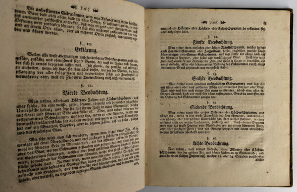 Vorlaufige Beobachtungen der Schwamme um Regensburg: angestellet und mit vier Kupfertafeln ausgemahlter Abbildungen erlautert - Image 5