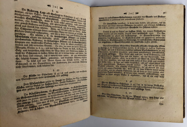 Vorlaufige Beobachtungen der Schwamme um Regensburg: angestellet und mit vier Kupfertafeln ausgemahlter Abbildungen erlautert - Image 6