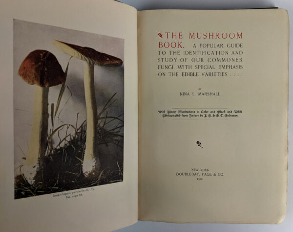 The Mushroom Book: A Popular Guide to the Identification and Study of our Commoner Fungi, with Special Emphasis on the Edible Varieties - Image 2