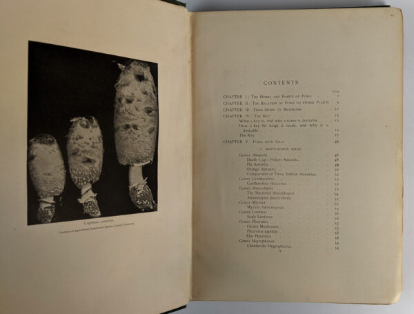 The Mushroom Book: A Popular Guide to the Identification and Study of our Commoner Fungi, with Special Emphasis on the Edible Varieties - Image 3