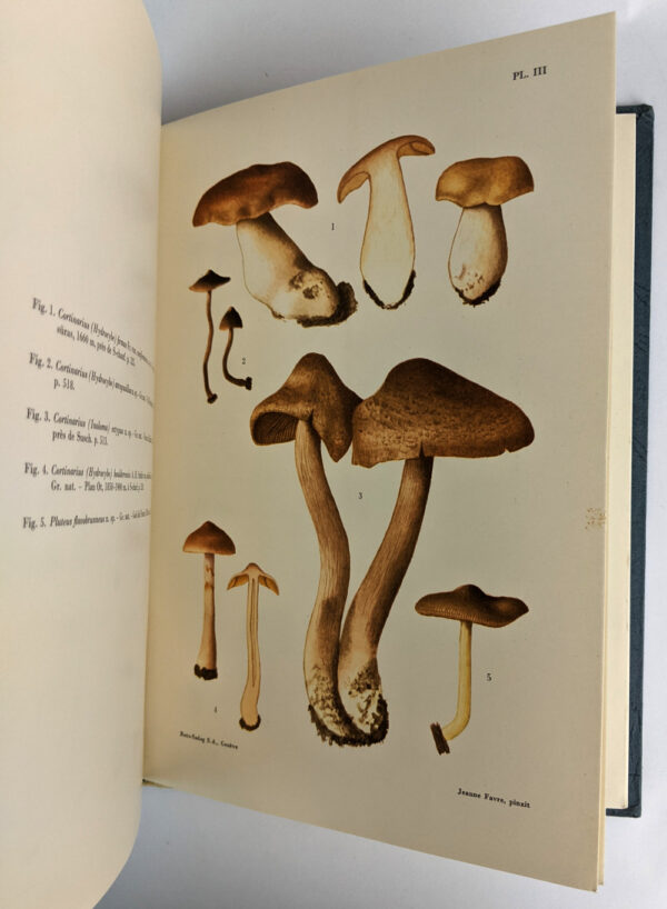 Catalogue Descriptif des Champignons Superieurs de la Zone Subalpine du Parc National Suisse - Image 4