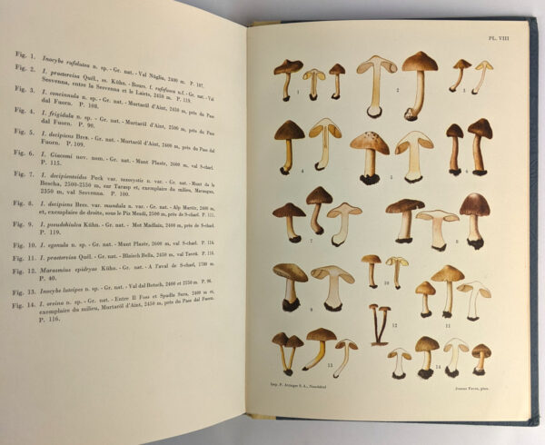 Les Champignons Superieurs de la Zone Alpine du Parc National Suisse - Image 3