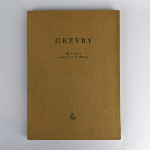 Grzyby (Fungi)
