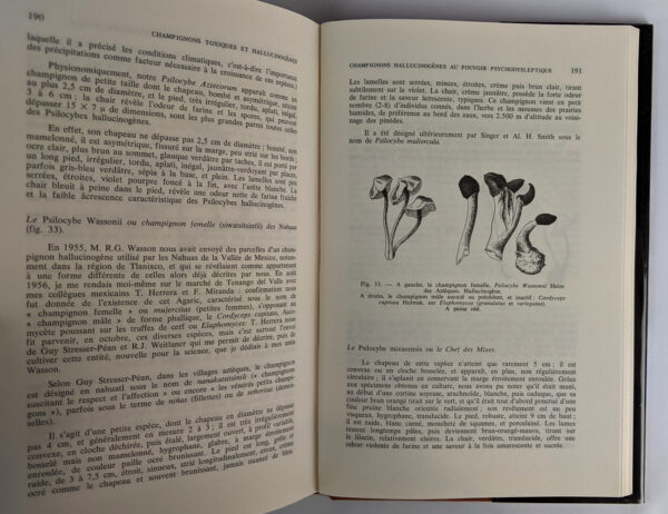 Les Champignons Toxiques et Hallucinogenes - Image 2