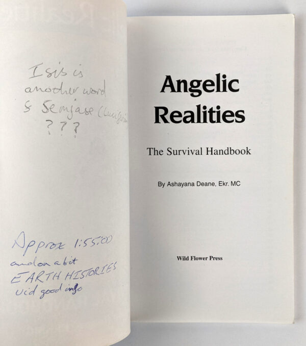 Angelic Realities: The Survival Handbook - Image 3