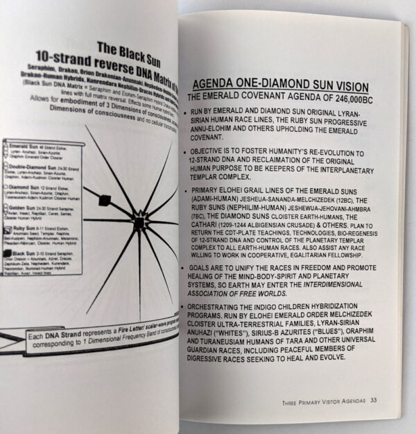 Angelic Realities: The Survival Handbook - Image 4