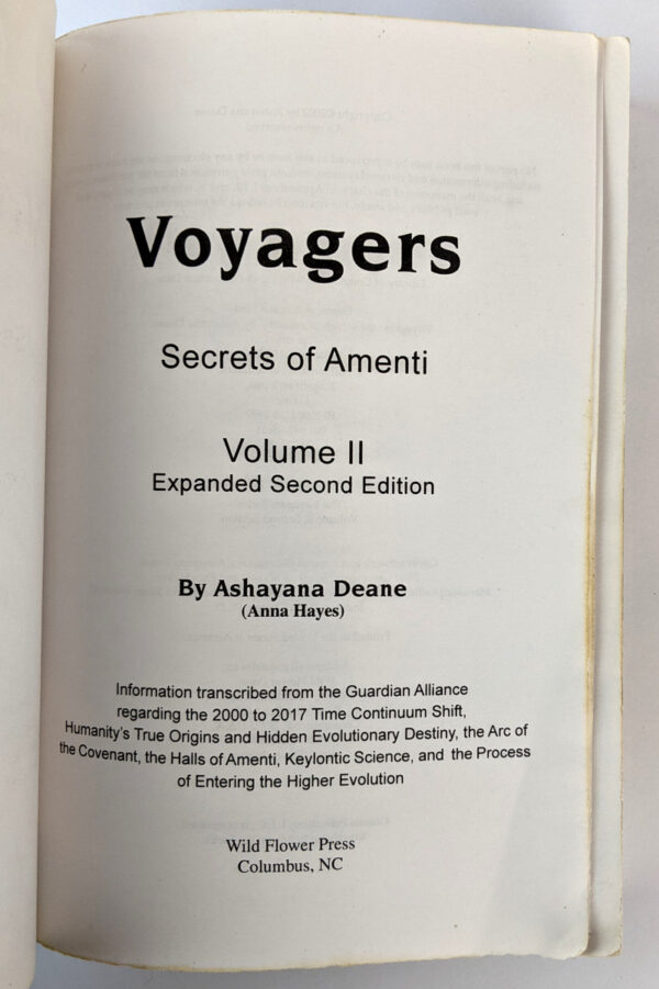 Voyagers: The Secrets of Amenti (Volume 2) - Image 4