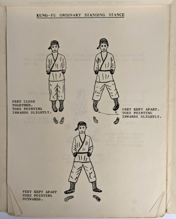 Chinese Kung-fu Karato (Atado) (21 Volumes) - Image 3