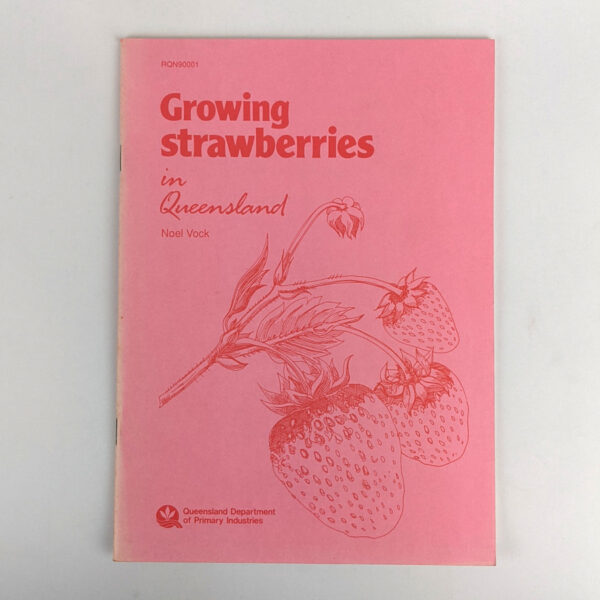 Growing Strawberries in Queensland