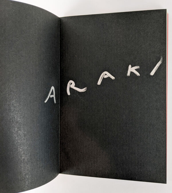 Naked Faces: The Works of Nobuyoshi Araki 1 - Image 2