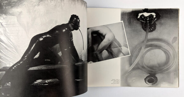 The Gay Picture Book - Image 2
