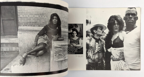 The Gay Picture Book - Image 3