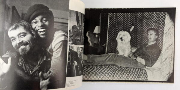 The Gay Picture Book - Image 6
