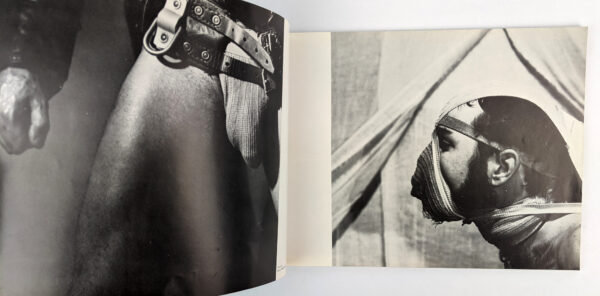 The Gay Picture Book - Image 7