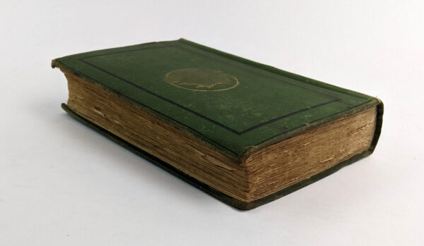 The Malay Archipelago - Image 7